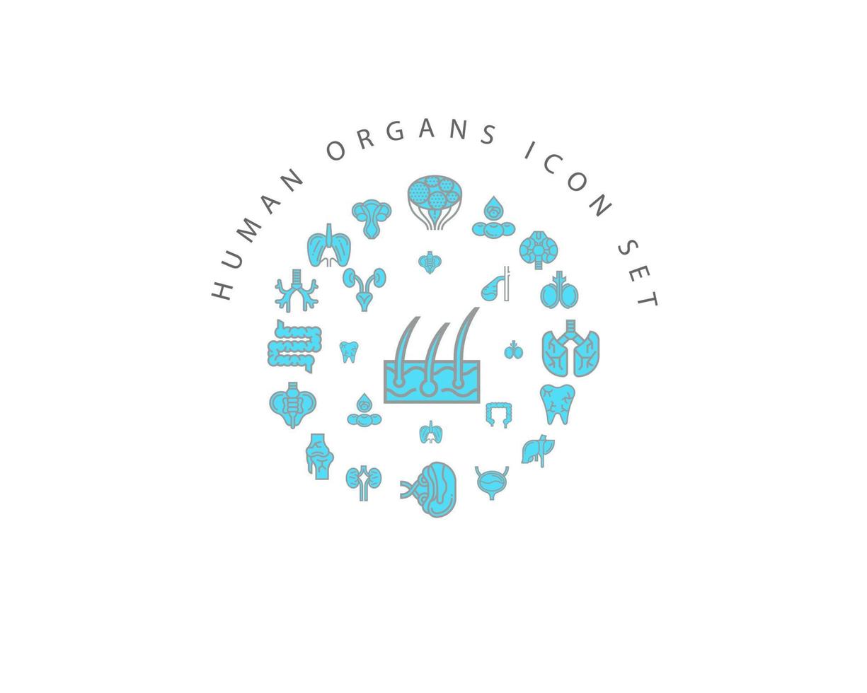 menschliche Organe Icon-Set-Design auf weißem Hintergrund. vektor