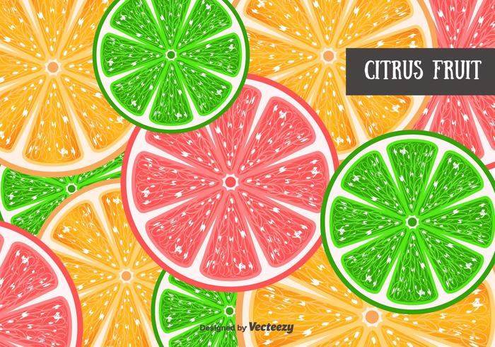 Citrusfruktmönster Bakgrund vektor