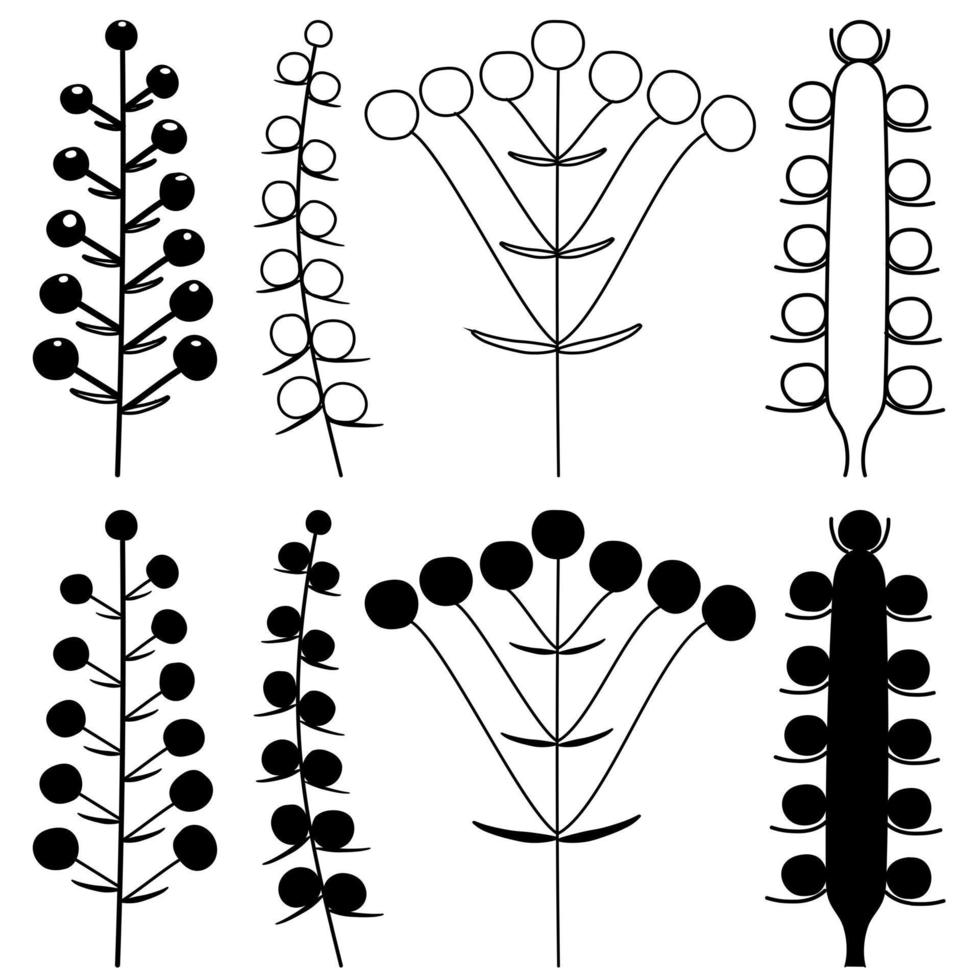 Reihe von Blütenständen in Pflanzen auf einem Stiel, Silhouette, isolierter Vektor