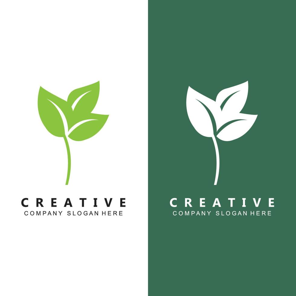 premium kvalitet gröna blad växt logotyp vektor symbol