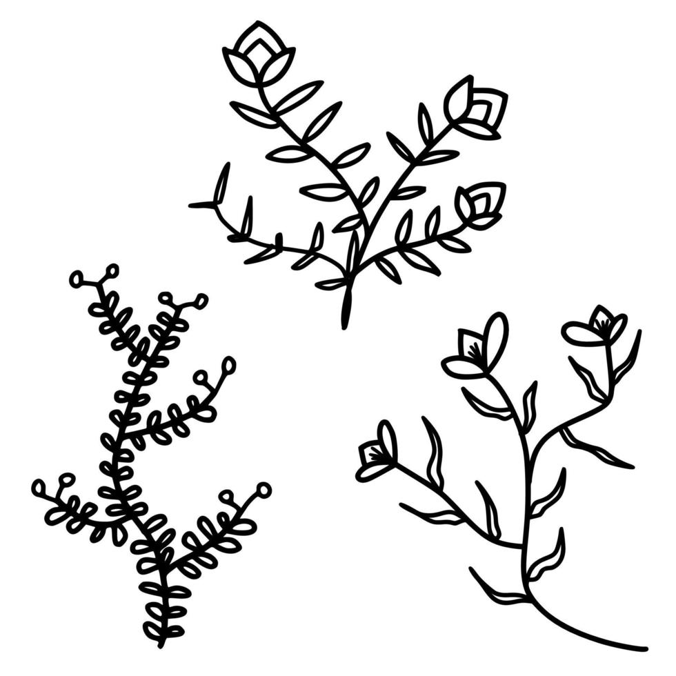 floraler Monoline-Hintergrund vektor