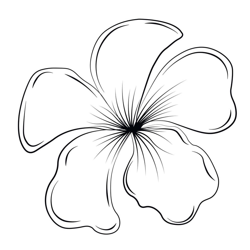 plumeria är en tropisk blomma. vektor stock illustration. frangipani, jasmin. isolerat på en vit bakgrund.