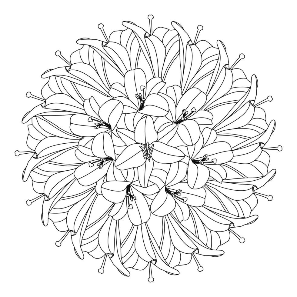 schöne Blumen Malseite mit Bleistiftskizze Zeichnung detailliert in Vektorgrafik von Strichzeichnungen vektor