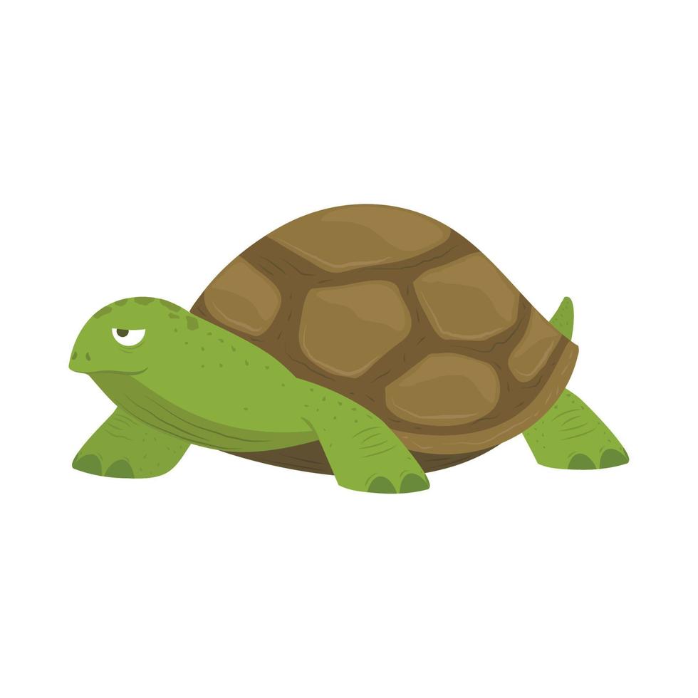 marin sköldpadda djur- vektor