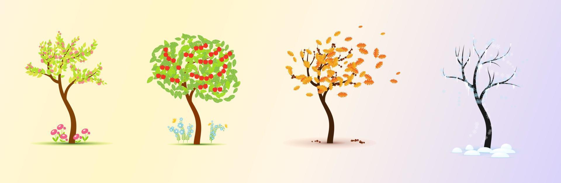 Jahreszeiten. Baum in vier Stufen - Frühling, Sommer, Herbst, Winter-Vektor-Illustration vektor