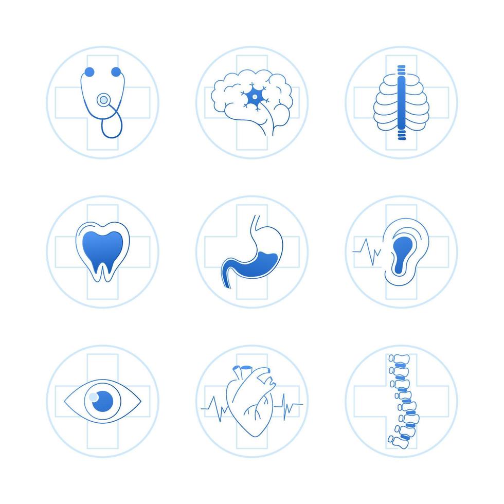 Symbolsatz für medizinische Fachgebiete isoliert auf weißem Hintergrund, Gestaltungselement für wissenschaftliche Konferenzen oder Infografiken vektor