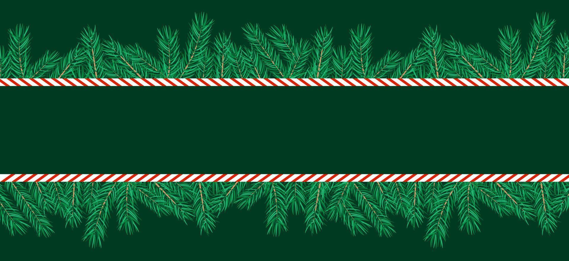 grenze aus weihnachtsbaumzweigen und zuckerstange. horizontales, leeres Banner. Vektor-Illustration. vektor
