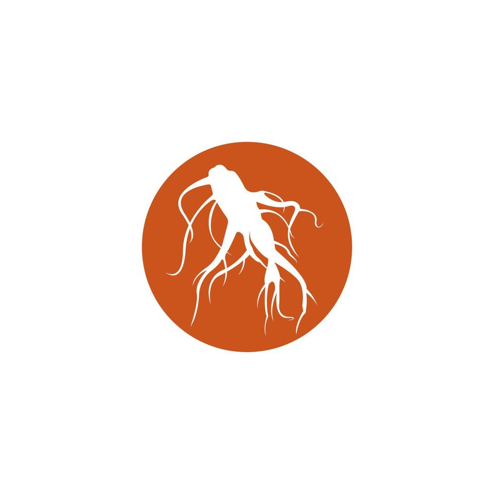 Ginseng Symbol Vektor Illustration Symboldesign