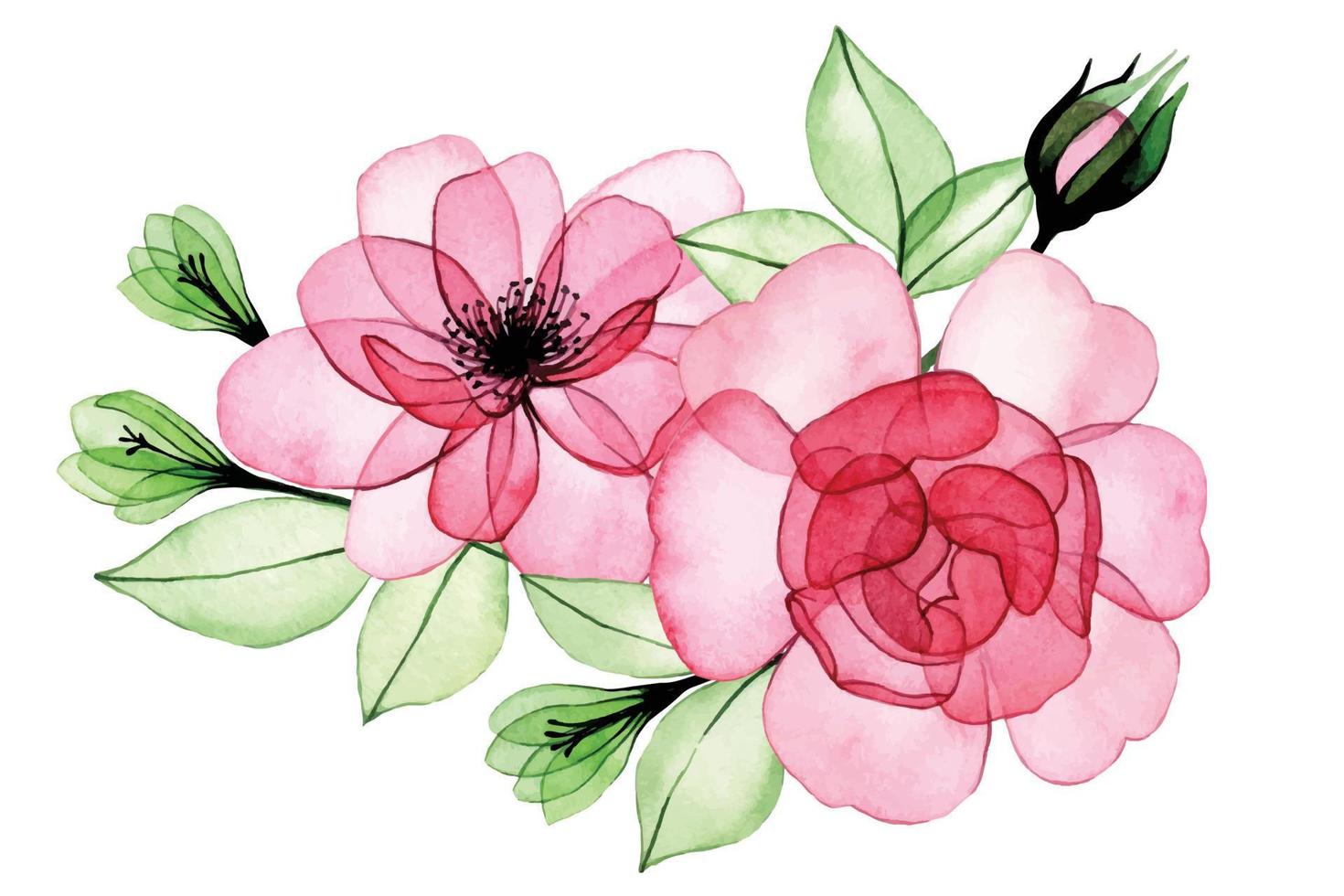 Aquarellzeichnung. blumenstrauß, komposition aus transparenten blumen und rosenblättern. rosa rosenröntgen vektor