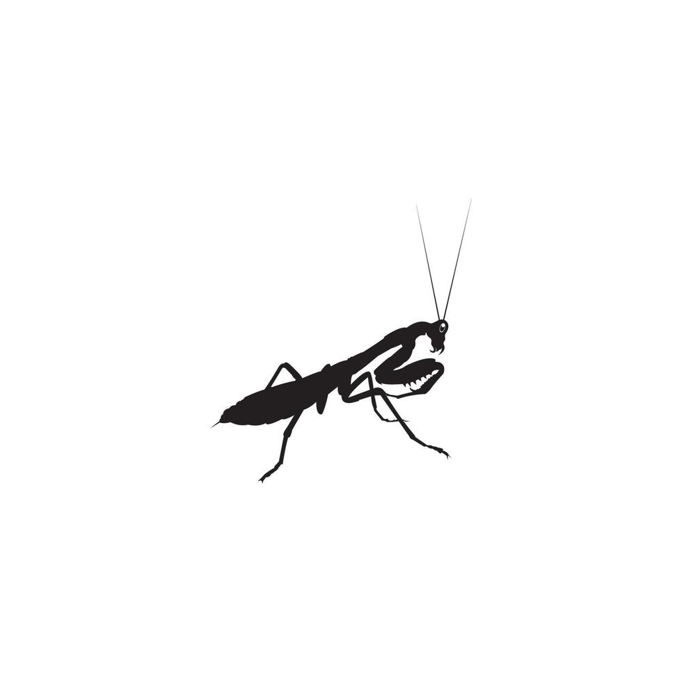 gräshoppa logotyp vektor illustration symbol design.