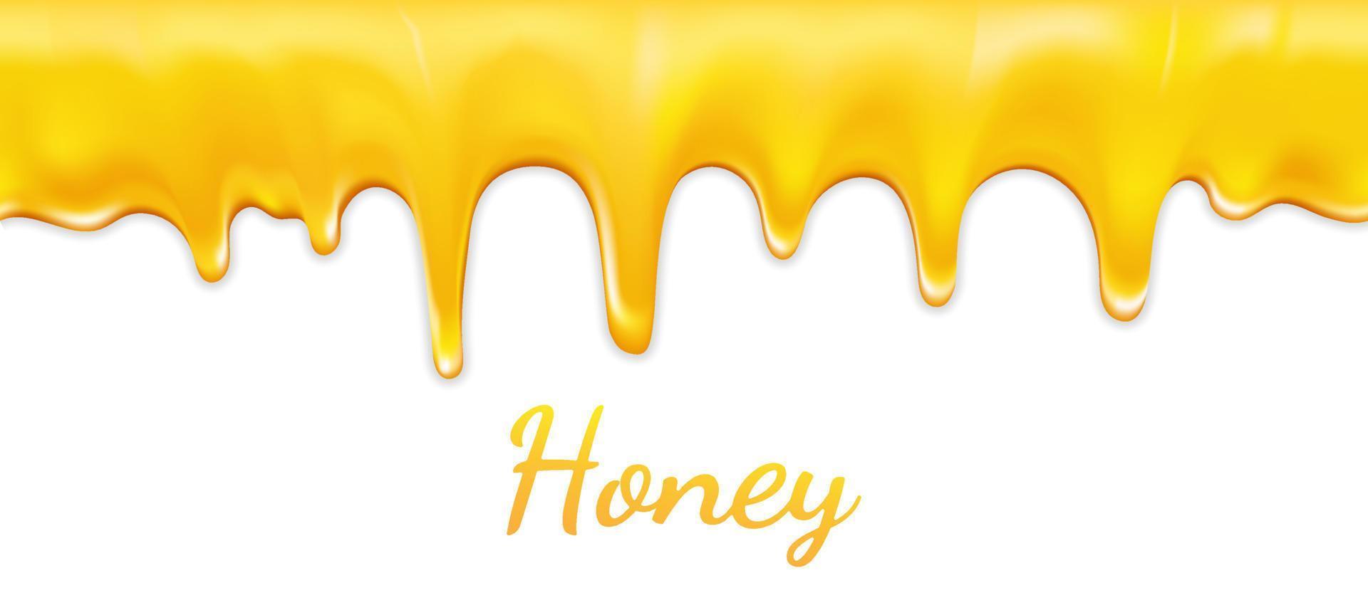 Honig Musterdesign isoliert auf weißem Hintergrund. köstliche tropfen, für wüste, menü, website-banner. goldene Butter, Karamell, Süßwarensirup. Vektorvorlage aus geschmolzenem Bienenhonig oder Sahne. vektor