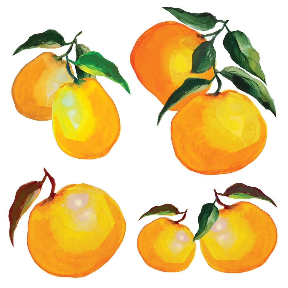 mandarin och citron- frukt på grenar med lövverk, illustrationer av citrus- frukt vektor