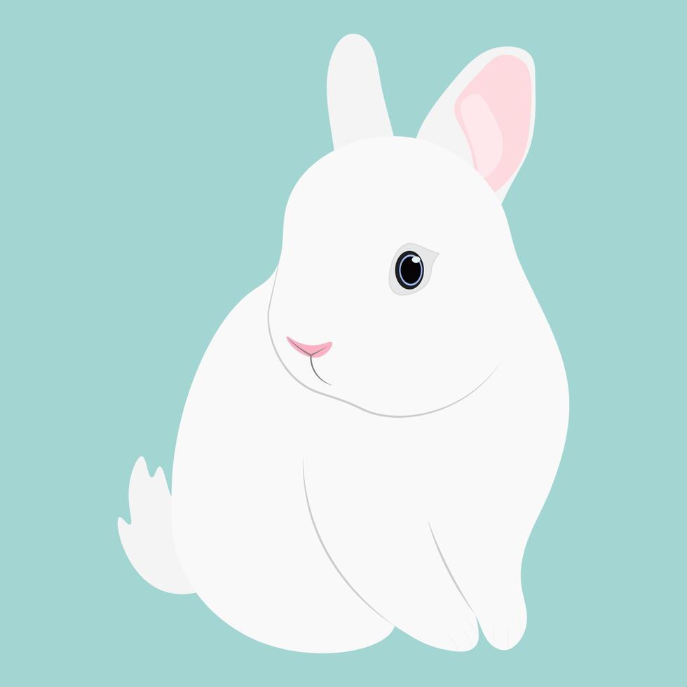 vit kanin. vektor illustration