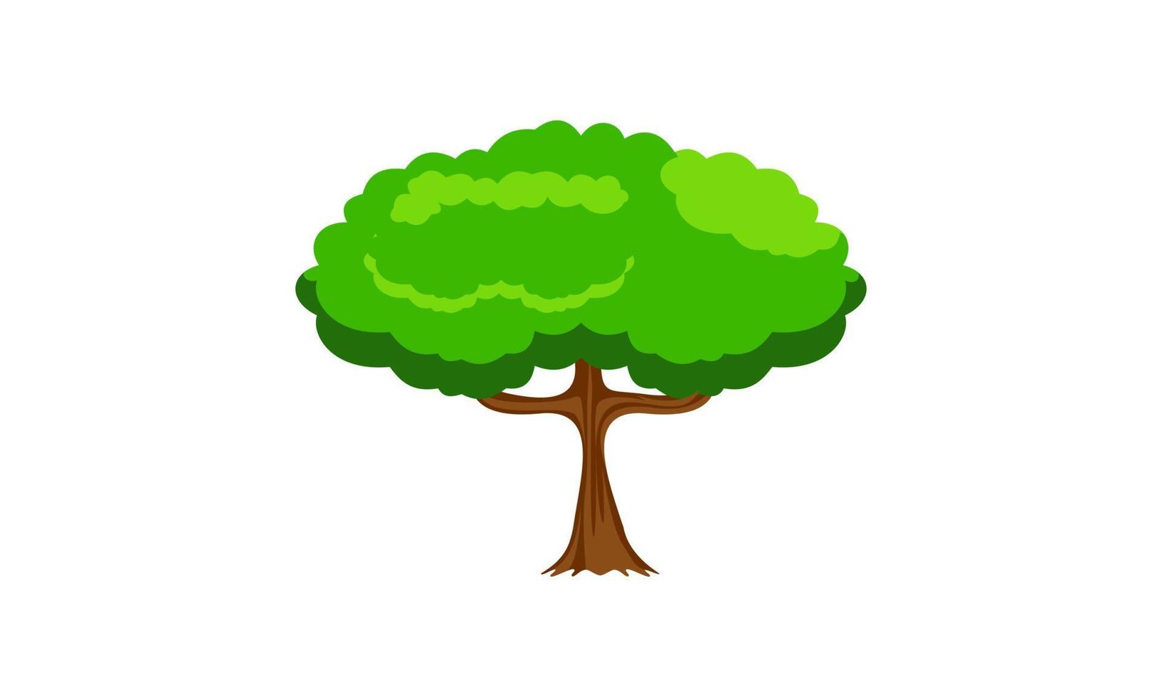 lövfällande grön träd med utsatt rötter isolerat vektor illustration