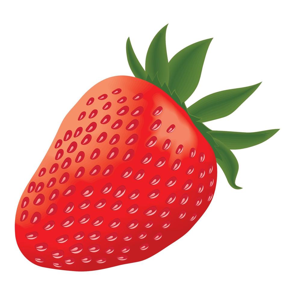 jordgubbar färsk frukt vektor