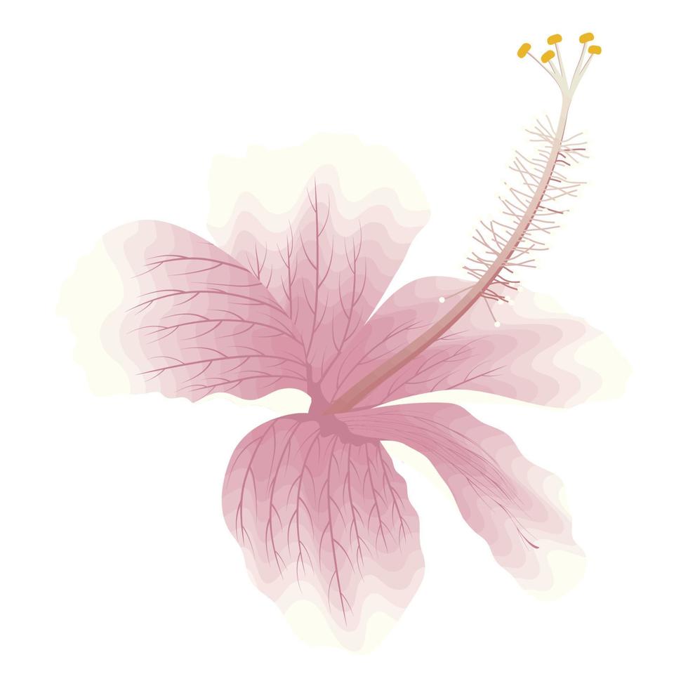 rosafarbene tropische Blumendekoration vektor