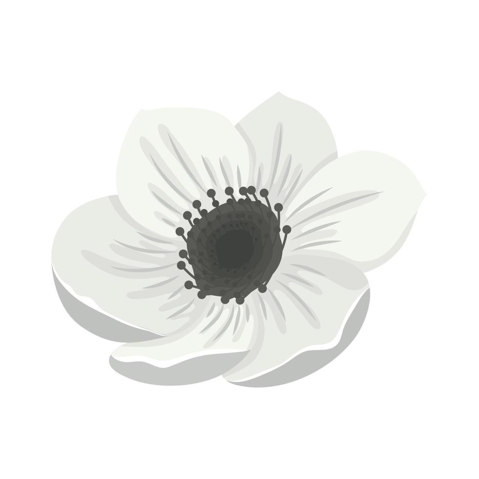weiße Frühlingsblume vektor