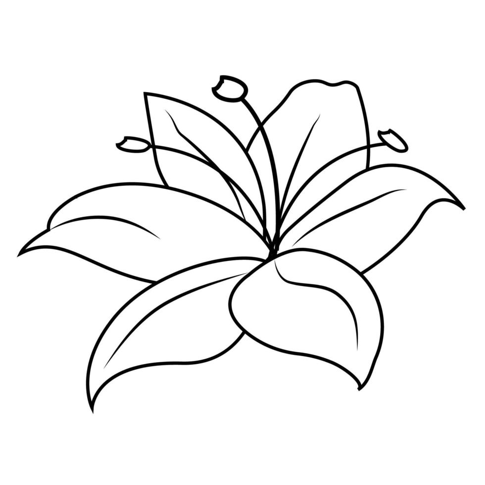 Lilienschattenbild, -logo oder -tätowierung, dekorative Blume lokalisiert auf weißem Hintergrund. Blumenillustration, Natur. Vektor