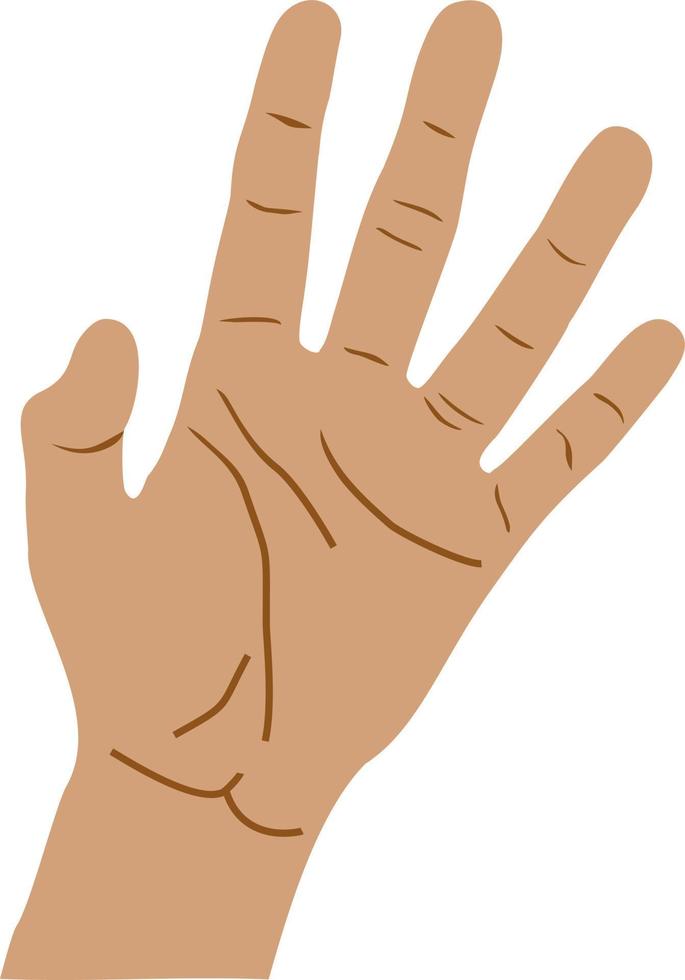 hand öppen handflatan gest finger hand tecken vektor