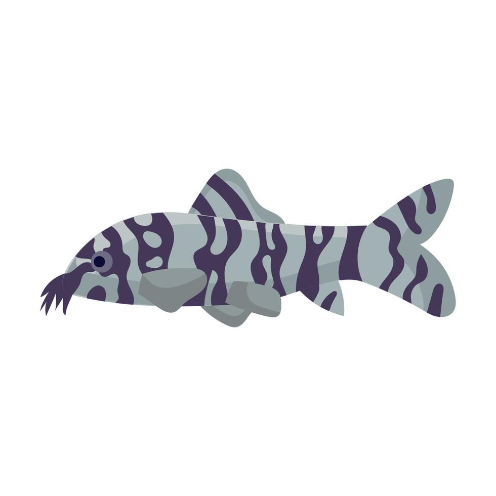 botsia fish aquarium wasser tier natur und vektor unterwasser aquatische kunst. tropischer Illustrationsfisch mit Schwanz und Flosse. schöne dekorative mehrfarbige Haustierzeichnung und Ichthyologie-Korallenriff