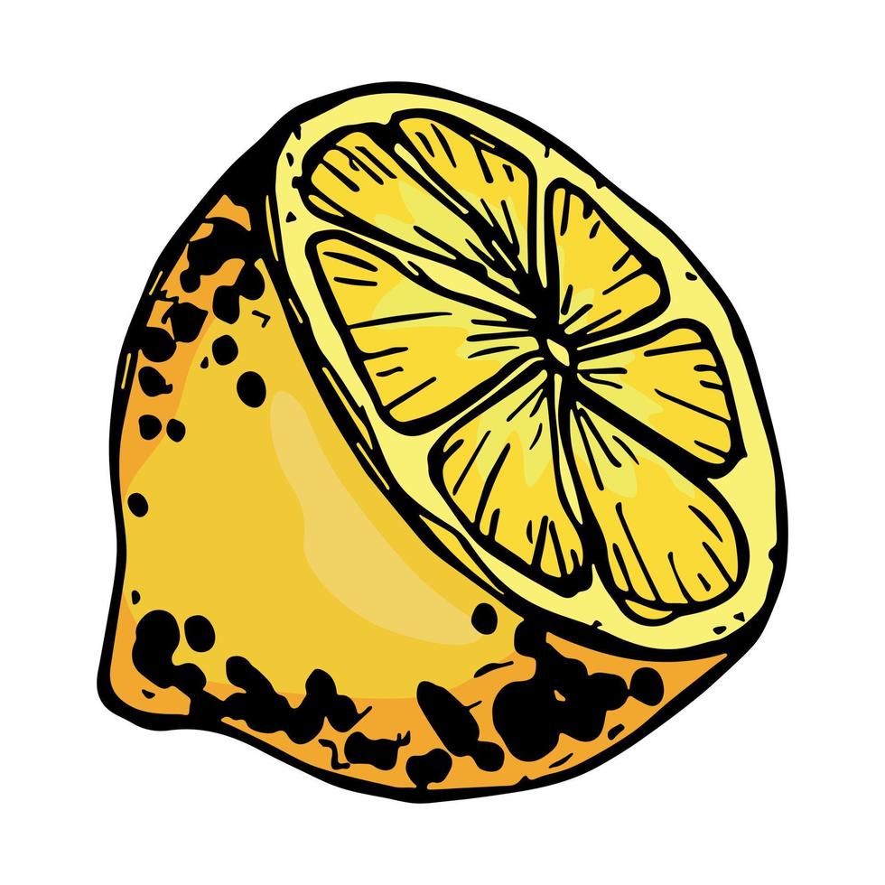 vektor citron clipart. handritad citrus ikon. frukt illustration. för tryck, webb, design, inredning