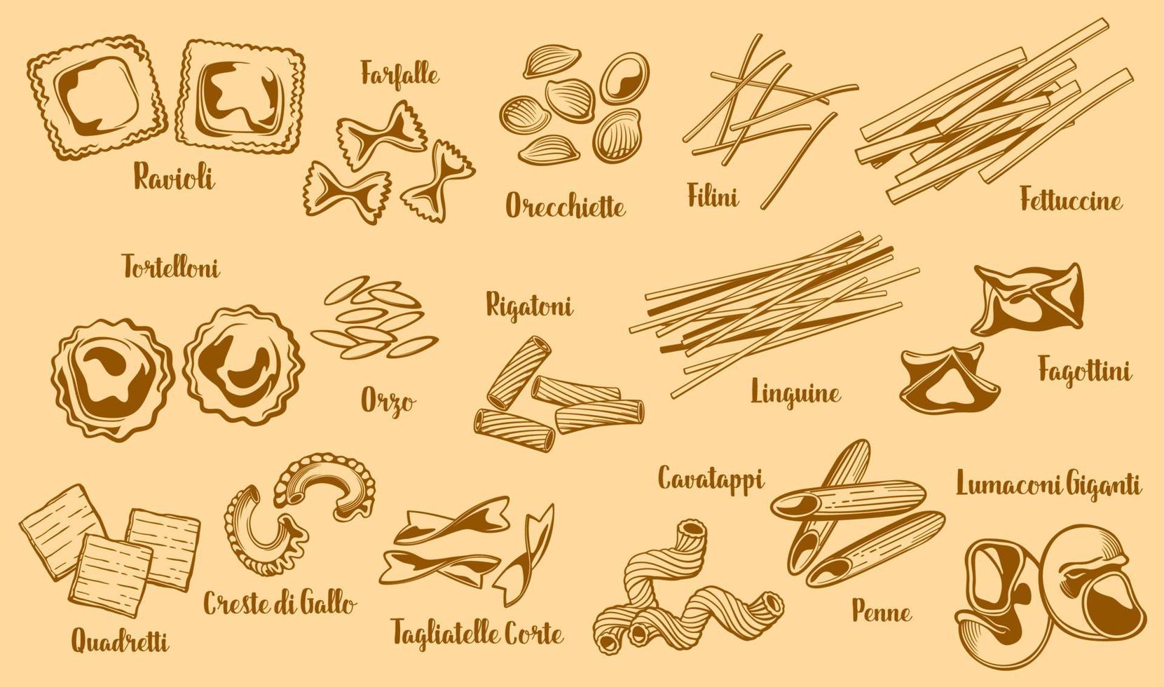 pasta typer italiensk mat namn för restaurang meny vektor