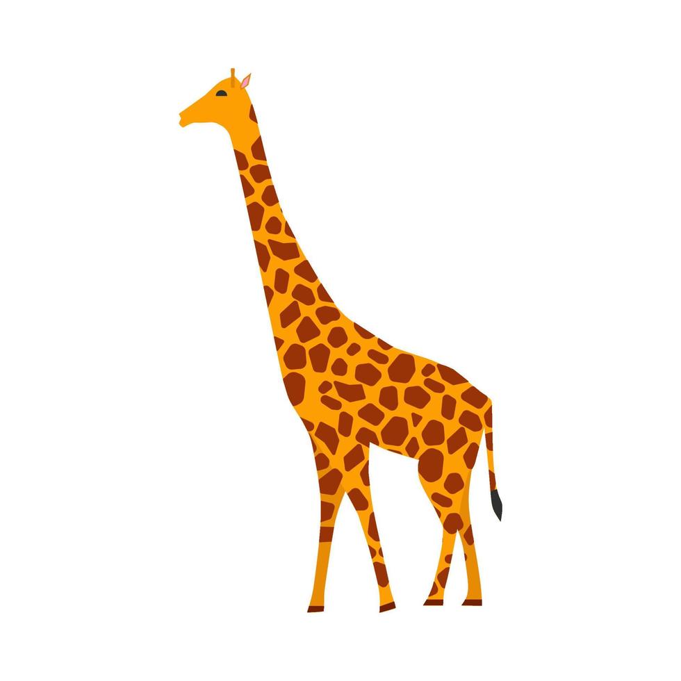 Seitenansicht des Giraffen-Säugetier-Vektorsymbols. Tiercharakter niedliches braunes Safari-Symbol. afrika gelber pflanzenfresser vektor