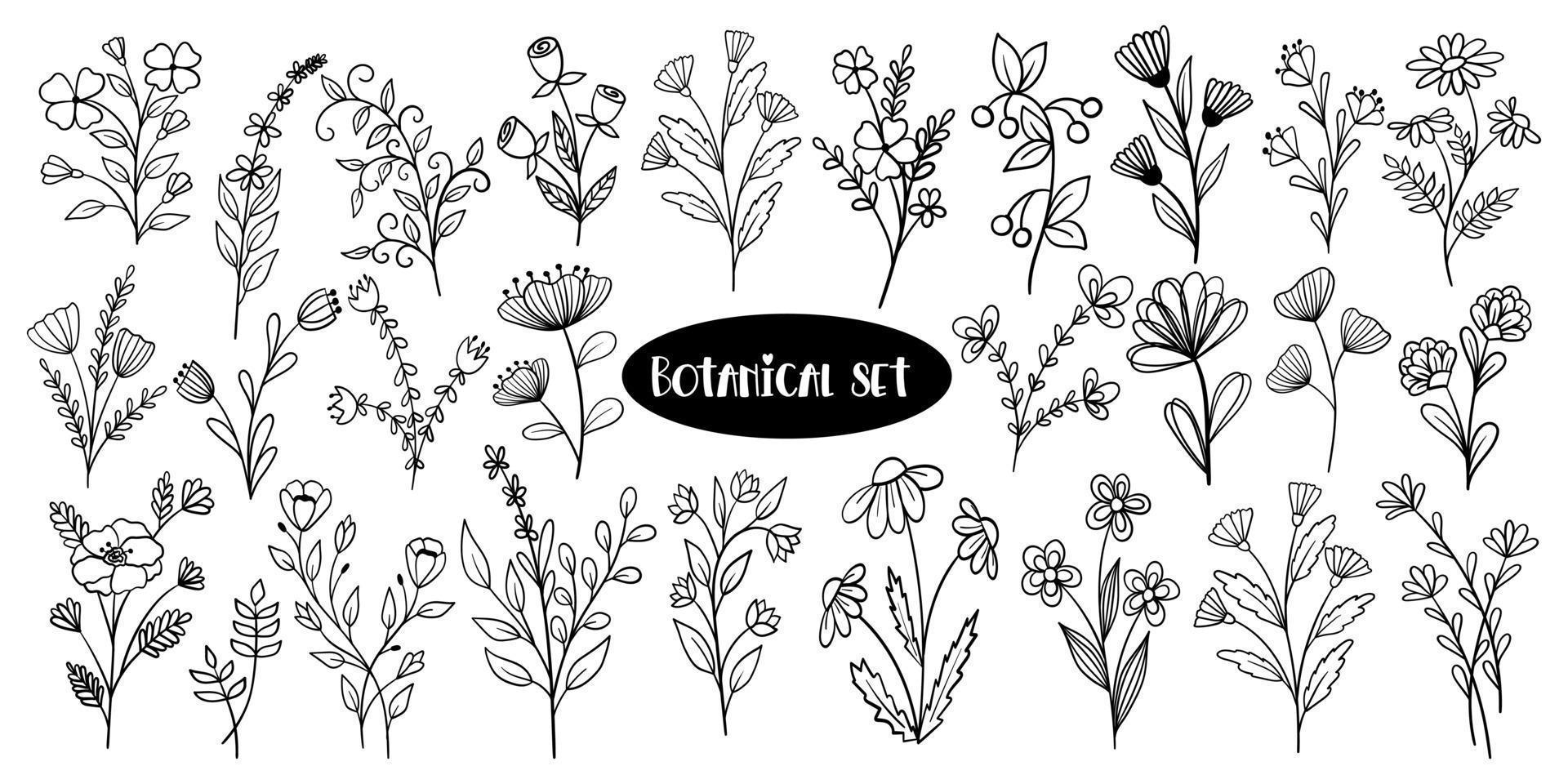 Botanisches Doodle-Set mit Blumen und Pflanzen vektor