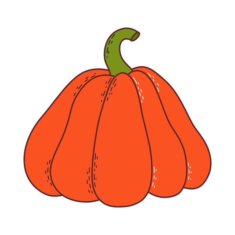 söt pumpa. tacksägelse och halloween element. vektor illustration i hand dragen stil