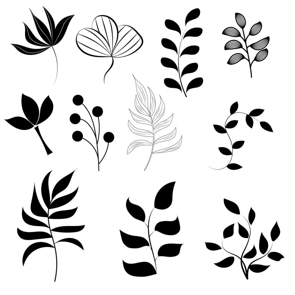 uppsättning av silhuetter av löv och grenar av gräs för design, svart konturer isolerat på en vit bakgrund. platt vektor illustration isolerat på vit bakgrund