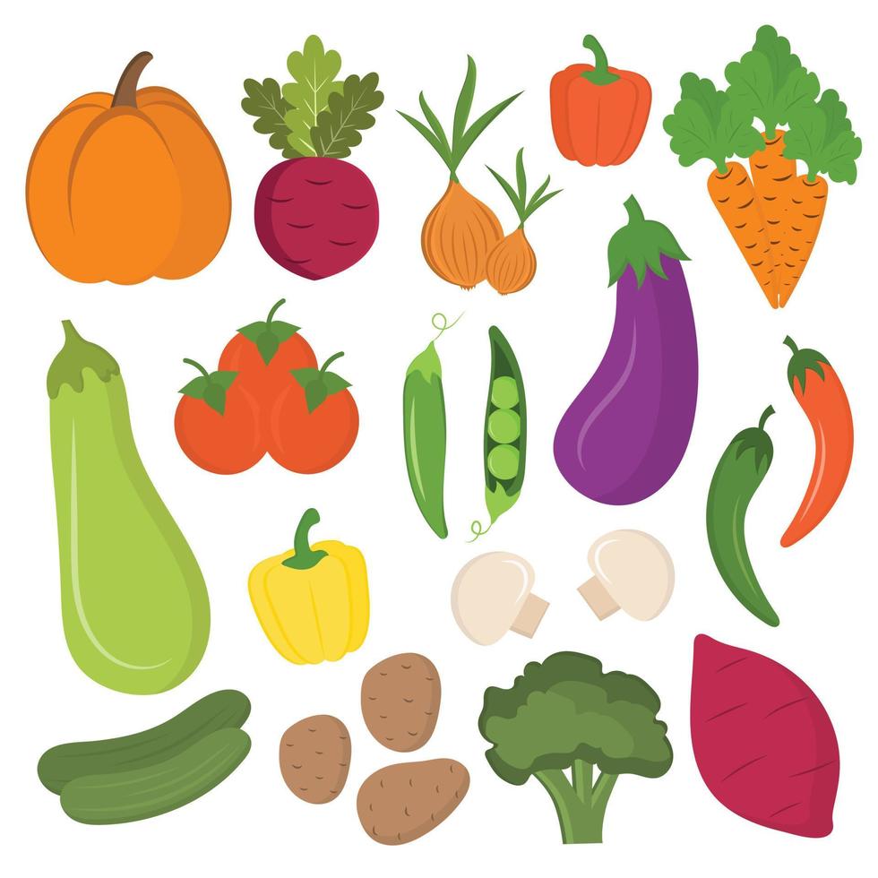 Reihe von bunten Cartoon-Bio-Gemüse isoliert auf weißem Hintergrund. Kartoffeln, Kürbis, Zucchini, Karotten, Zwiebeln, Auberginen, Paprika, Tomaten. vegetarisches Essen, gesundes Essen, veganes Essen. vektor