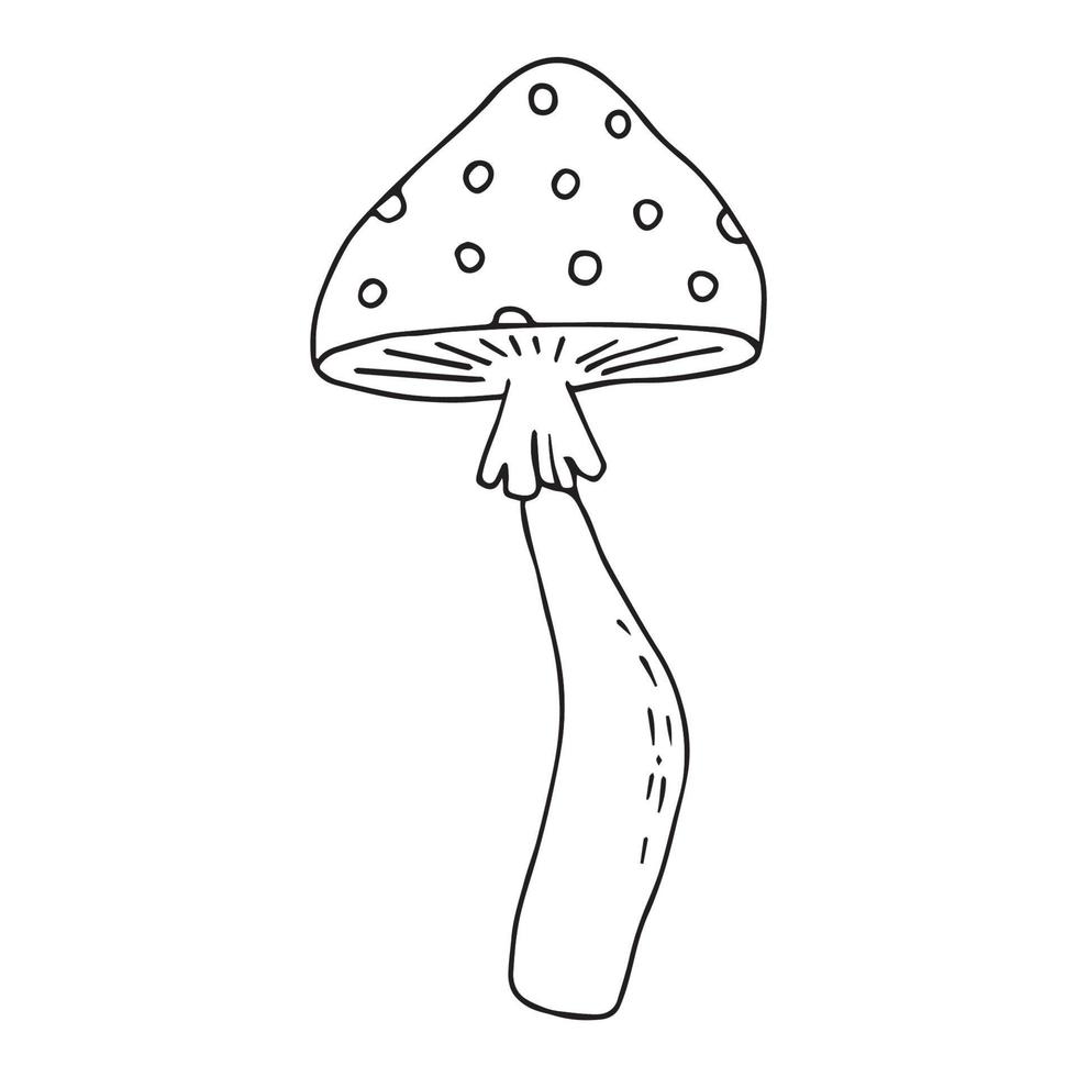 handritad flugsvamp doodle ikon. amanita svamp. giftig paddsvamp flugsvamp. handritad doodle. vektor