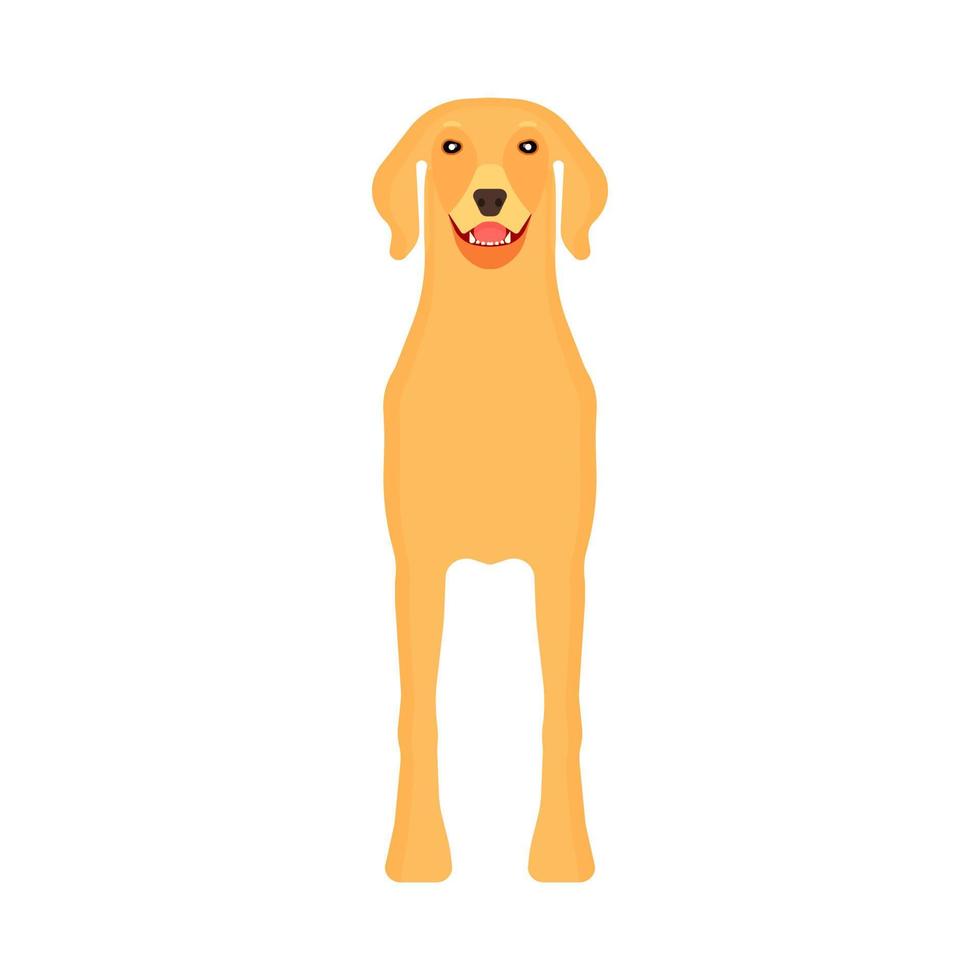 hund labrador djur- sällskapsdjur vektor ikon främre se. isolerat valp söt tecknad serie Lycklig vän. brun stående hund silhuett