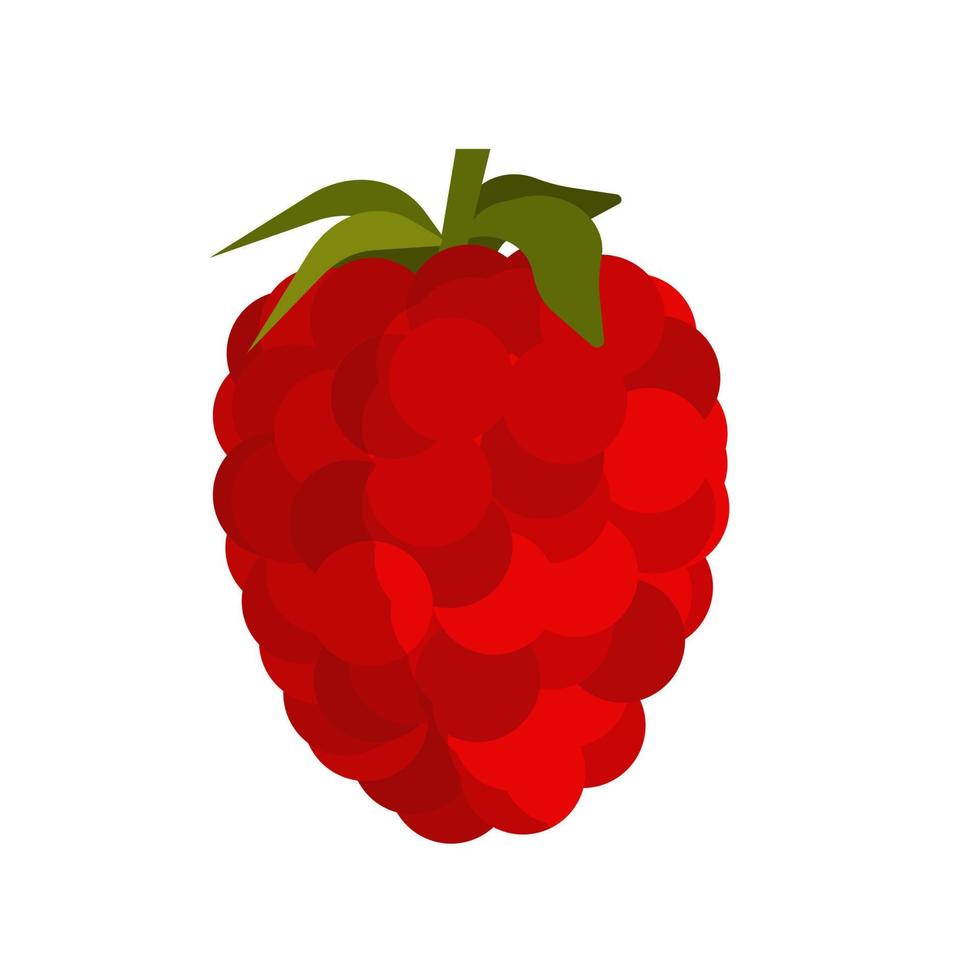 Himbeerfrucht-Lebensmittel-Vektorsymbol isoliert. rote Beerensüße Natur. Symbol für organische Pflanzenzutaten. flaches zeichen des gartenbauernhofes vektor