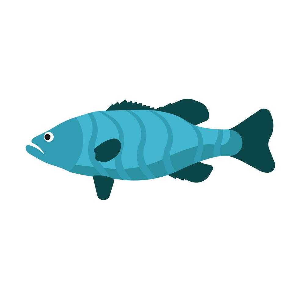 fisk sida se vektor ikon hav djur- illustration. under vattnet tecknad serie hav liv. blå vilda djur och växter platt exotisk symbol