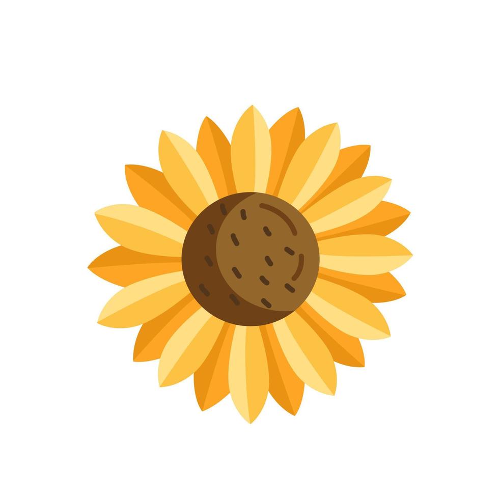 solros blomma i tecknad serie stil. vektor isolerat blommig illustration på de bakgrund.