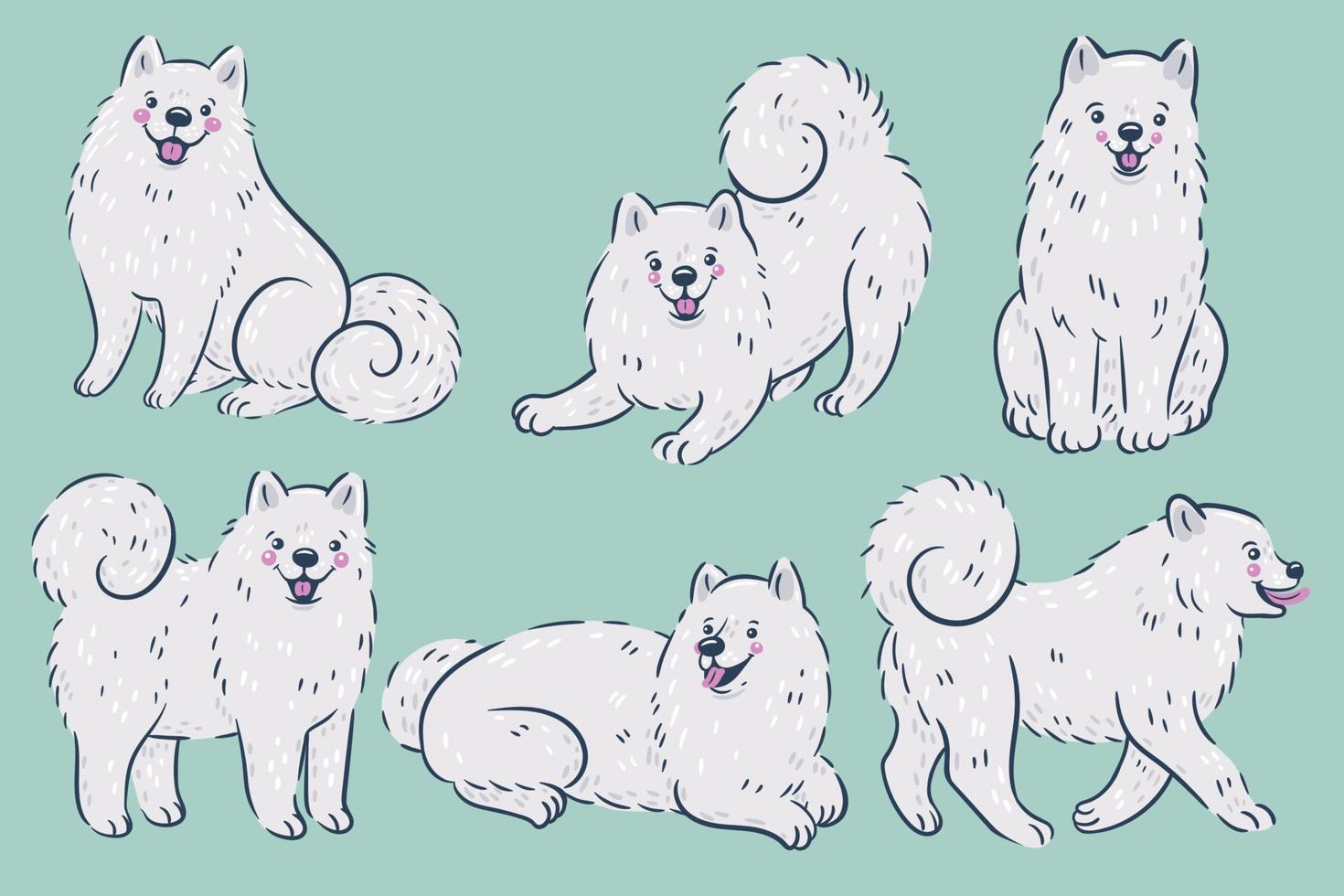 uppsättning av söt vit samojed ras hundar. vektor grafik.