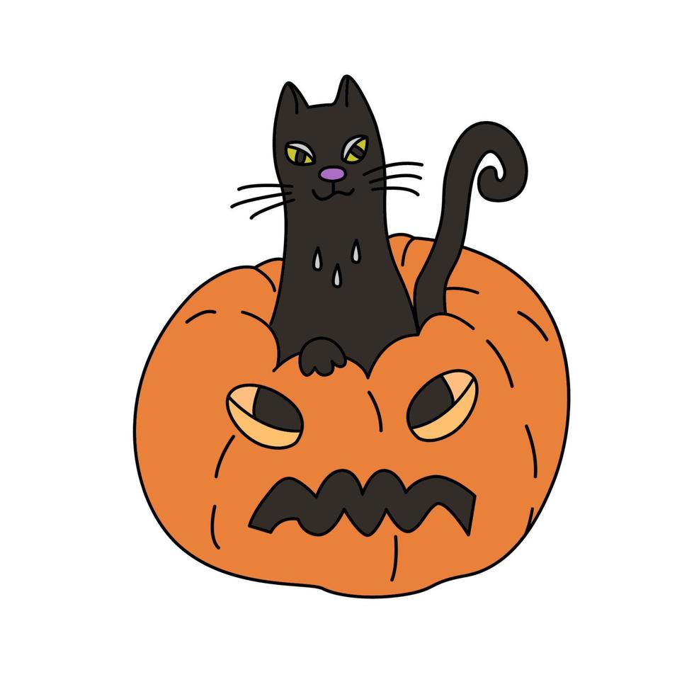 vektor hand dragen illustration av en svart katt Sammanträde i domkraft o lykta. bra för halloween design.