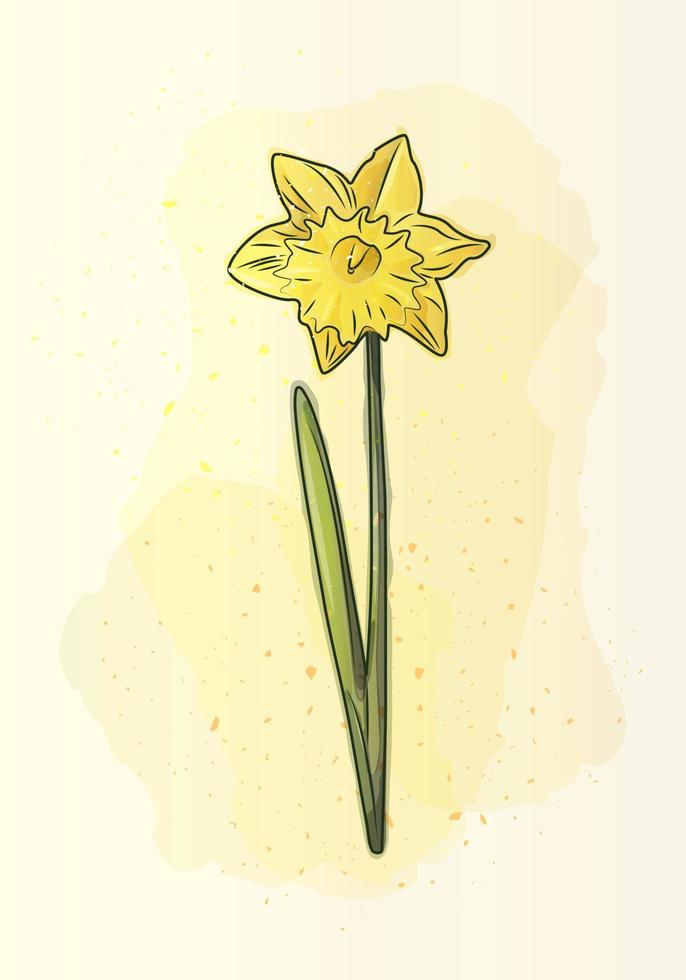 modern konst witn gul narciss i vattenfärg stil. årgång gul narciss. bra design för några syften. vektor illustration