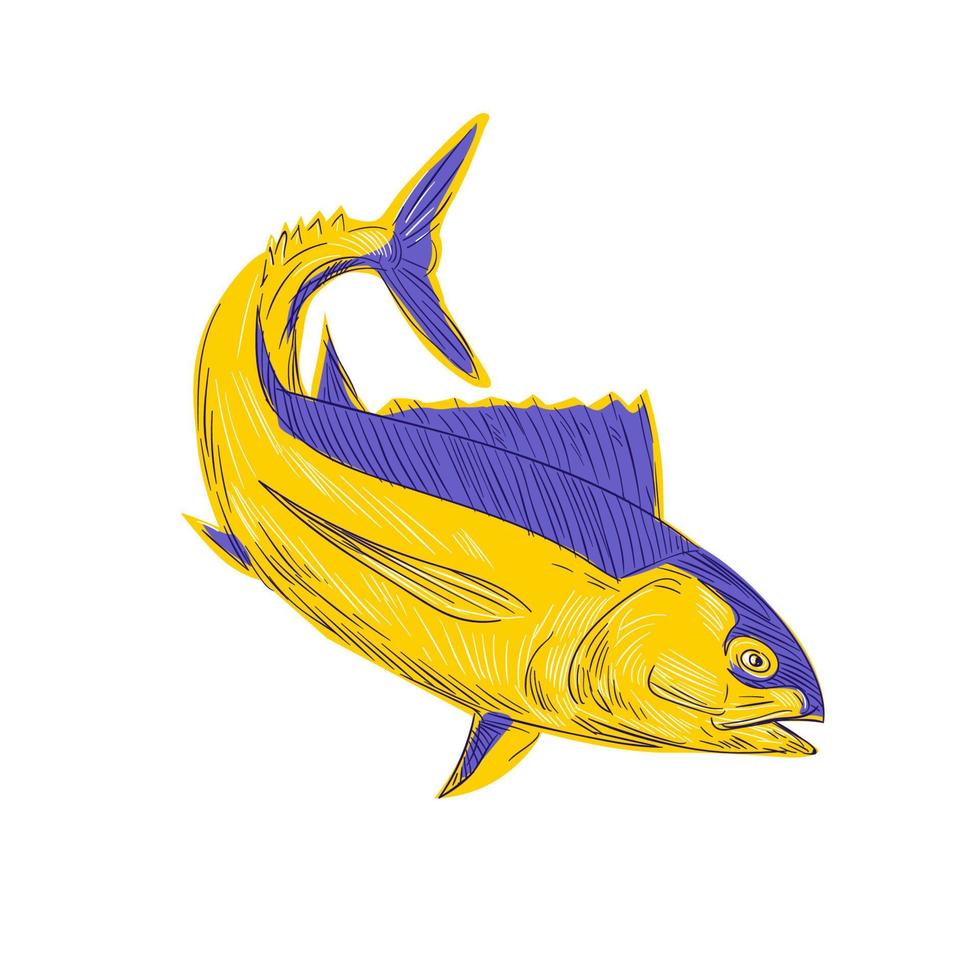 albacore tonfisk fisk teckning vektor