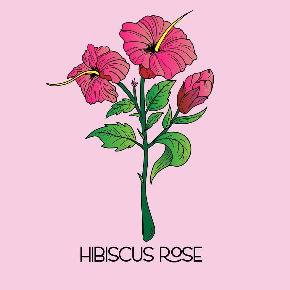 Illustration der tropischen Hibiskusblüte. dekorative exotische Pflanze. florale Vorlagen mit blühenden Gartenblumen vektor