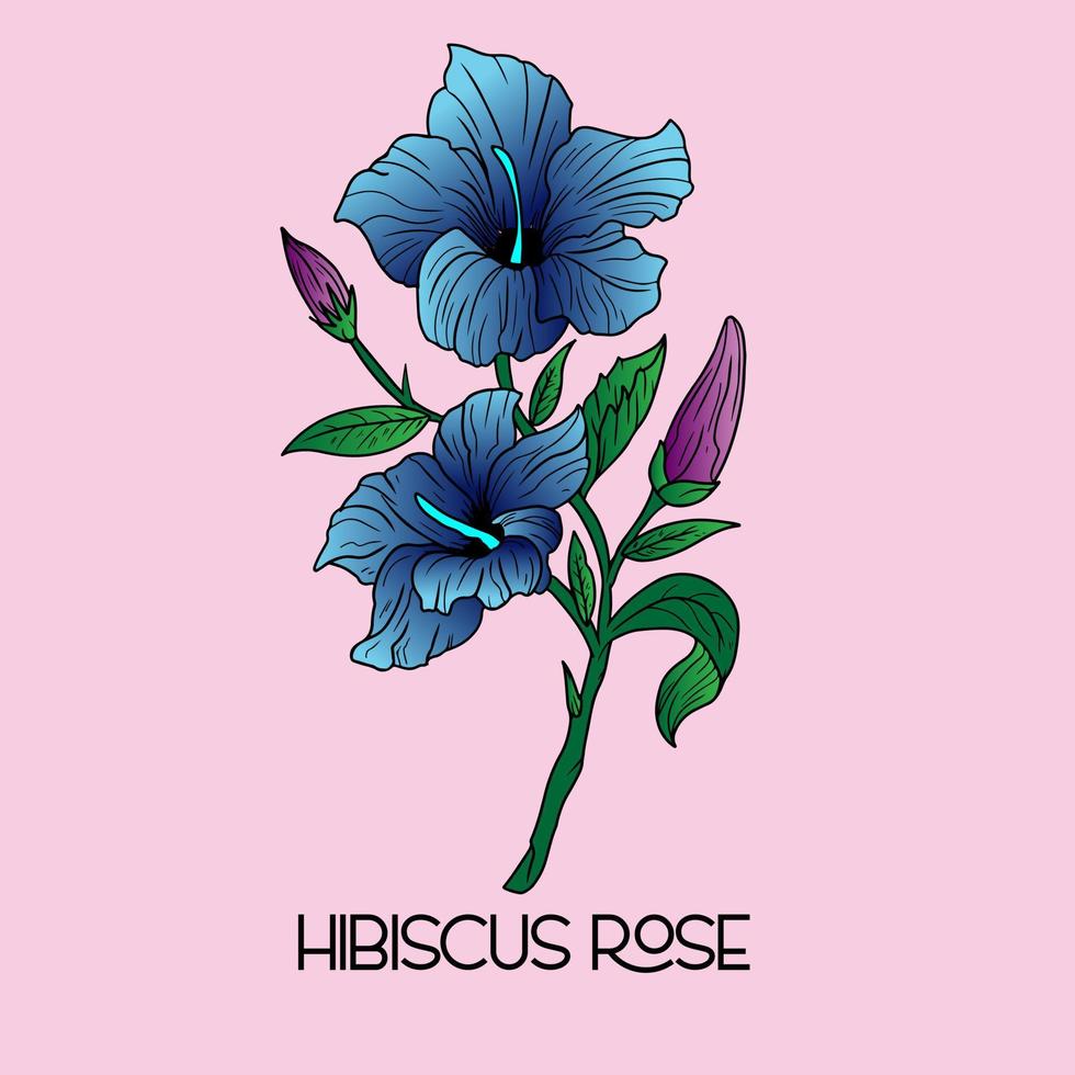 Illustration der tropischen Hibiskusblüte. dekorative exotische Pflanze. florale Vorlagen mit blühenden Gartenblumen vektor