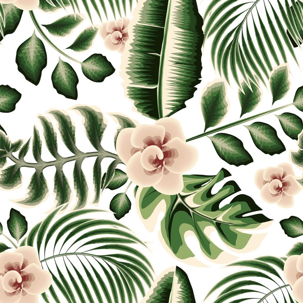 grüne bananenpalme verlässt nahtloses muster mit monstera-pflanzenblatt und rosa blumenpflanzenlaub auf weißem hintergrund. Blumenhintergrund. Naturtapete. tropischer Hintergrund. Dschungel-Illustration vektor