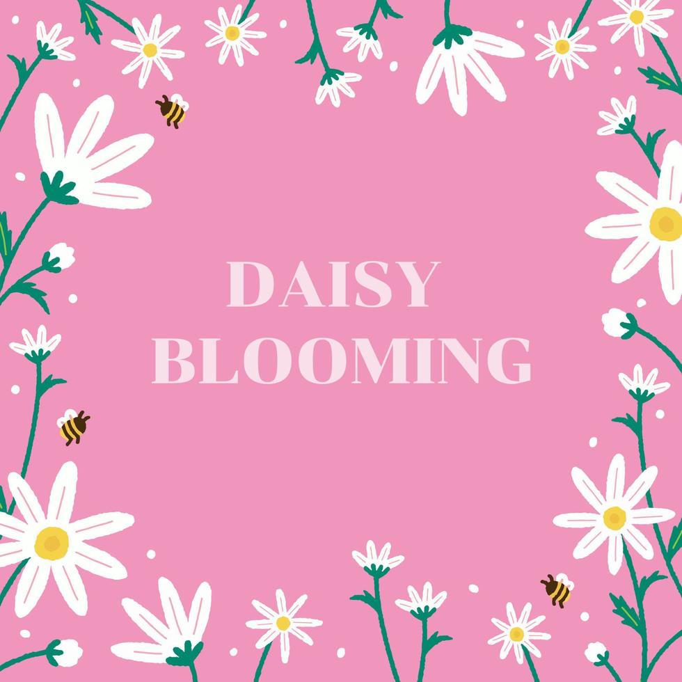 söt skön blomma daisy blomma på fält bi vår sommar vit rosa bröllop inbjudan kort mall ram gräns baner annons posta vykort skriva ut fyrkant tapet vektor illustration