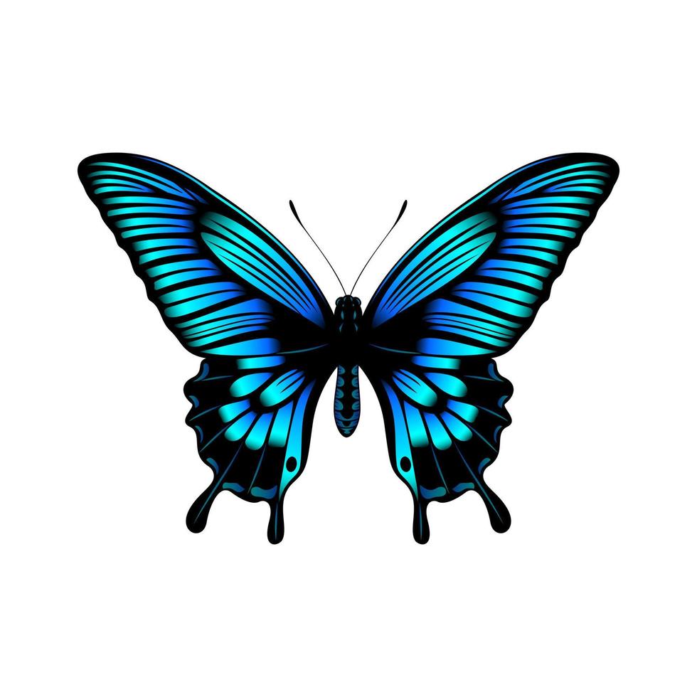 bunter Schmetterling realistische bunte Schmetterlingsvektorillustration mit weißem Hintergrund Schmetterlingsclipart. vektor