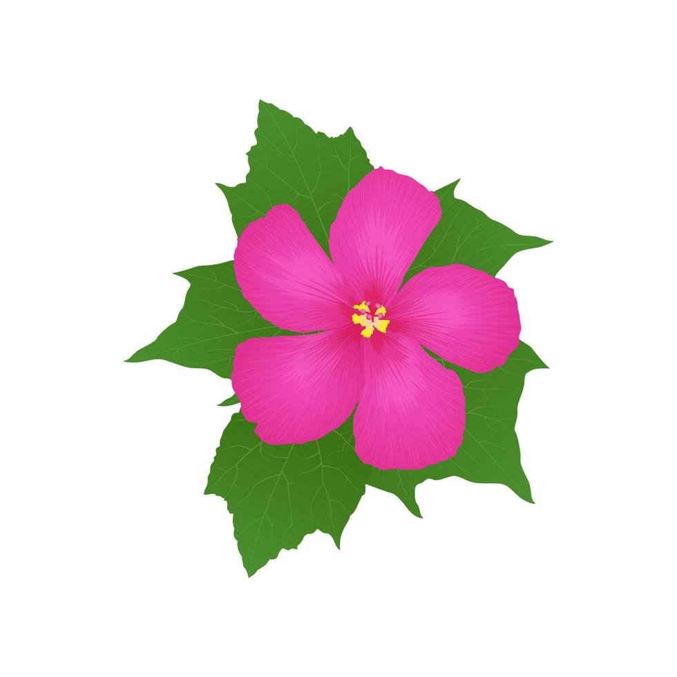 realistisk rosa hibiskus blomma - vektor illustration
