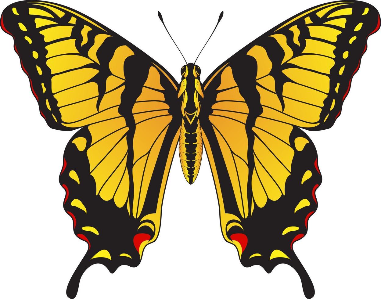 tiger makaonfjäril fjäril - gul och svart randig fjäril vektor illustration