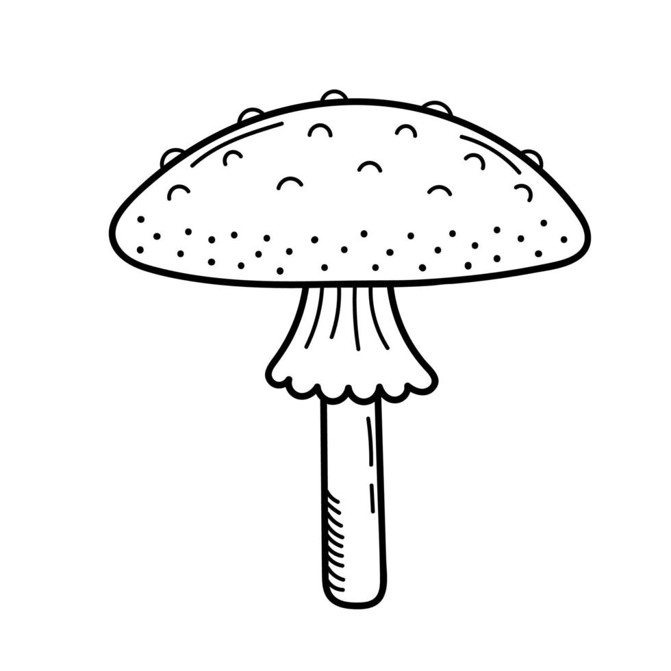 süßer Pilz im Doodle-Stil. Giftpilz, Fliegenpilz, Giftpilz. vektorisolierte handgezeichnete illustration zum ausmalen von seiten, skizze, umriss vektor