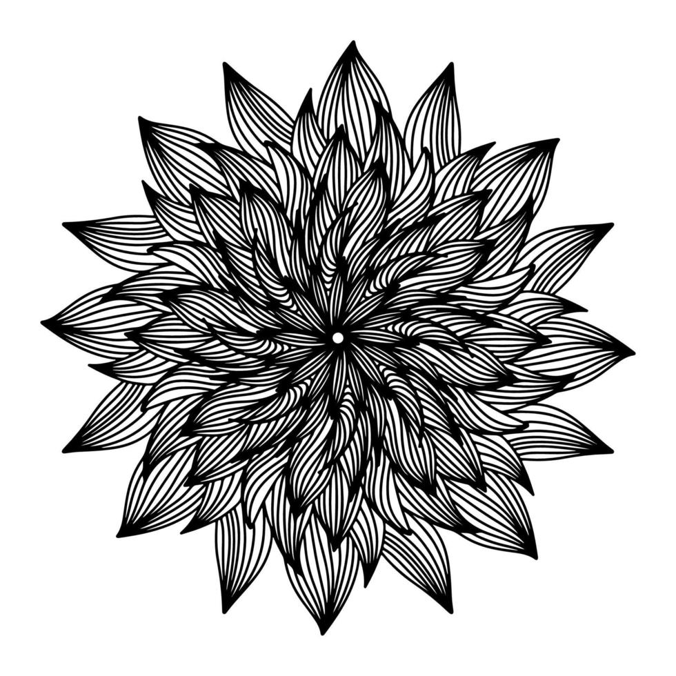 florale, handgezeichnete Aster-Mandala-Blumen im Doodle-Stil isoliert auf weißem Hintergrund. elegante farbseite für saisonales design, textil, dekoration kinderspielzimmer oder grußkarte. Chrysantheme. vektor