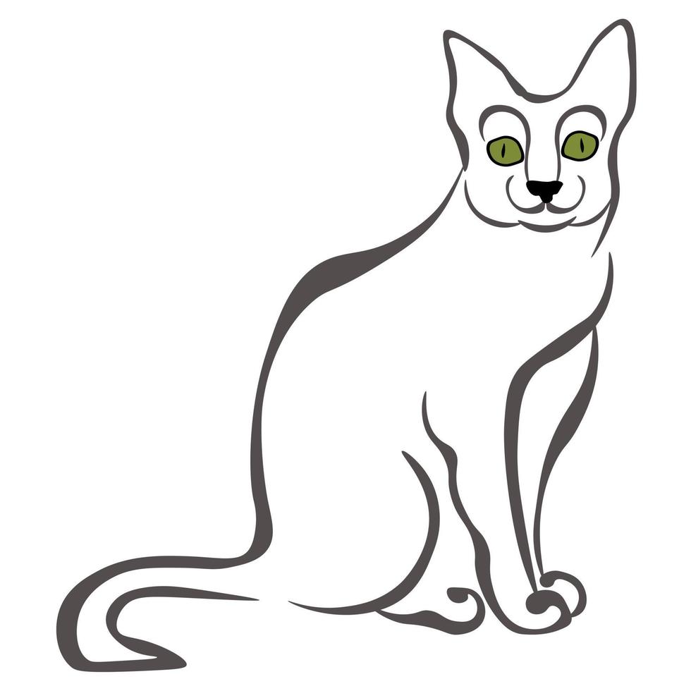 korat katt, stiliserade porträtt av en inhemsk sällskapsdjur vektor